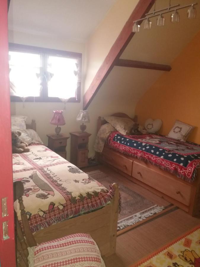 La Bohalle Les Mouettes 1 Gite Ou 4 Chambres D Hote, Jardin ,Bords De Loire מראה חיצוני תמונה